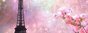 Pink Paris Wallpaper Cherry Blossom