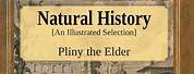 Pliny The Elder Natural History Book