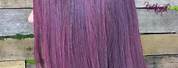 Plum Hair Color