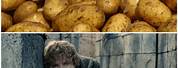 Potato Meme Lord of the Rings