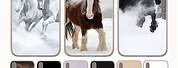 Purple Horse iPhone XS Max Case