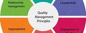 Quality Principles People JPEG