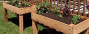 Raised Garden Deck Planters