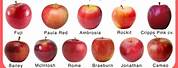 Red Butterfly Apple Comparison