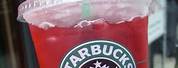 Red Passion Fruit Iced Tea Starbucks