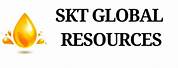 SKT Global Network