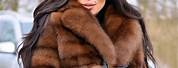 Sable Fur Coats for Women