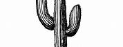 Saguaro Cactus Clip Art Black and White