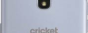 Samsung Galaxy Mobile Phone Girl Cricket