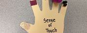 Sense of Touch Activity for Kids