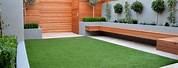 Small Modern House Garden Ideas