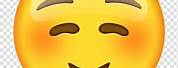 Smiley-Face Emoji Blush