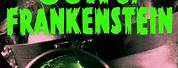 Son of Frankenstein Word Mark Logo