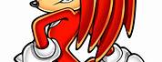 Sonic Boom Knuckles Happy with Background