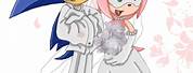 Sonic the Hedgehog and Amy Rose Wedding