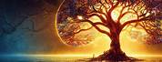 Spiritual Tree Life Wallpaper