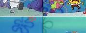 Spongebob Running From Sandy Meme