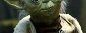 Star Wars Yoda Speaking Properly Meme