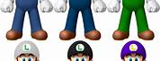 Super Mario Galaxy Luigi Color Palette