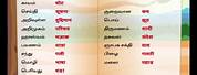Tamil Language Translation in Hindi
