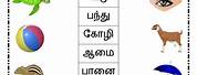 Tamil Reading Standard 1
