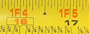 Tape-Measure Inches