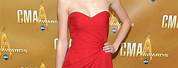 Taylor Swift Red Carpet Dress