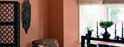 Terracotta Paint Living Room