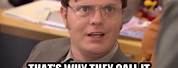 The Office Dwight Schrute Memes