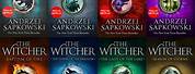 The Witcher Book Series