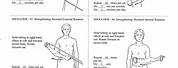 Therex Shoulder Exercises