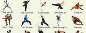 Types of Karate That Starts with a T