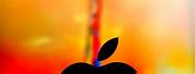 Ultra HD iPhone Apple Logo Wallpaper 4K