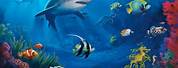 Underwater Ocean Background Wallpaper