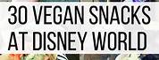 Vegan Snacks at Disney World