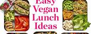 Vegetarian Lunch Recipes for Beginners