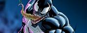 Venom Anime Fan Art