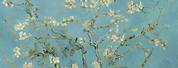 Vincent Van Gogh Almond Blossom Painting