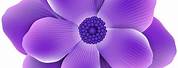 Violet Flower Clip Art