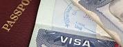 Visa Photos for Business