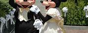 Walt Disney World Minnie Mouse Wedding