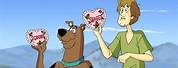 What's New Scooby Doo Valentine's Day