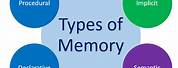 What Are the Different Types of Memory
