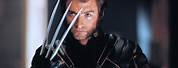 Wolverine Marvel Hugh Jackman