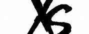 XS Gold Logo PNG