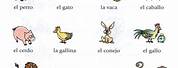 Zoo Animals Spanish Vocabulary