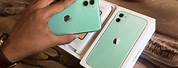 iPhone 11 Colors Teal