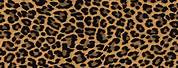 iPhone Front and Back Girls Leopard Skin