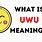 Uwu Meanings the Sign
