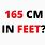 165 Cm in Feet